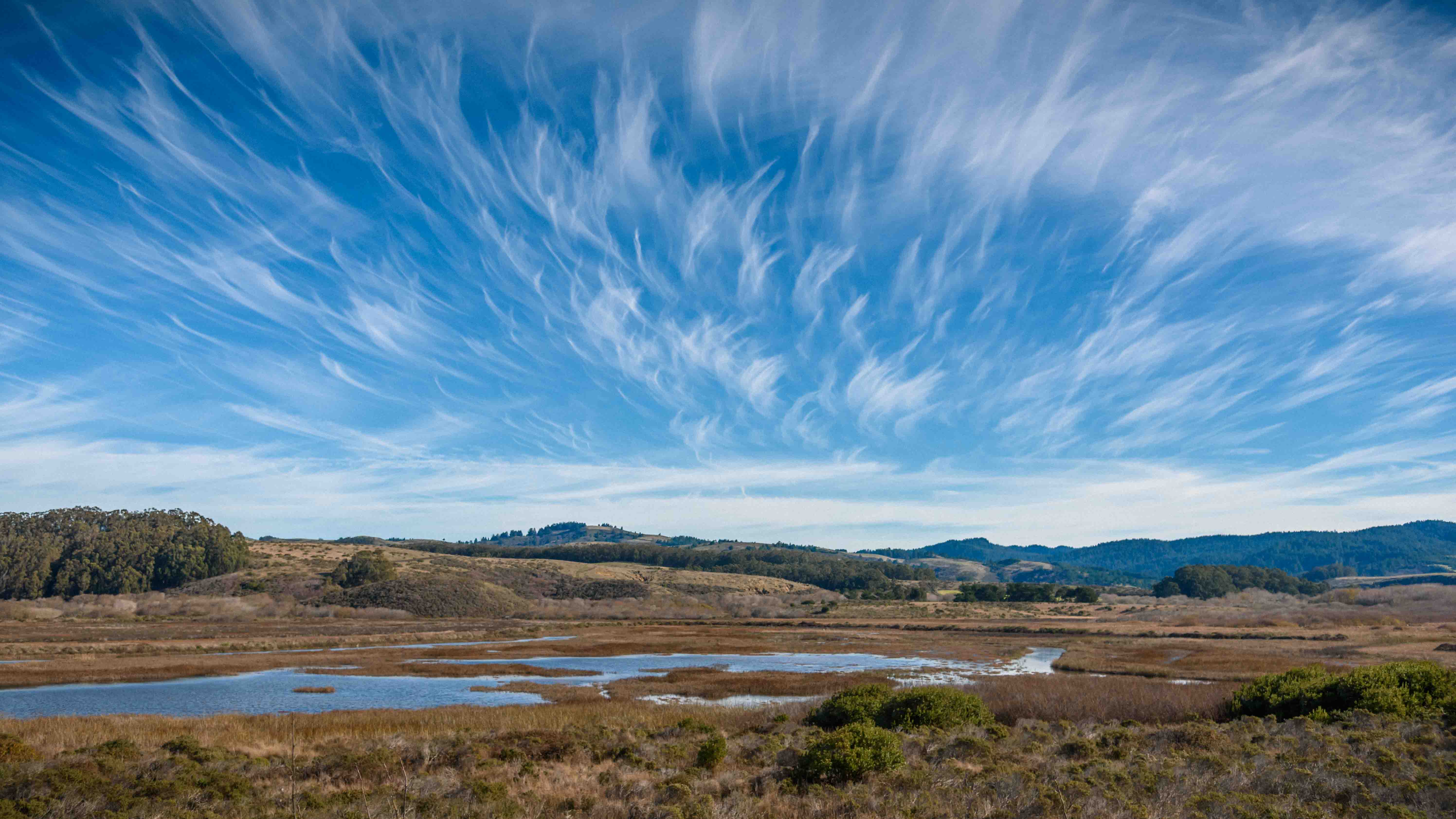 corporate family landscape photography bay area san jose pescadero clouds sky